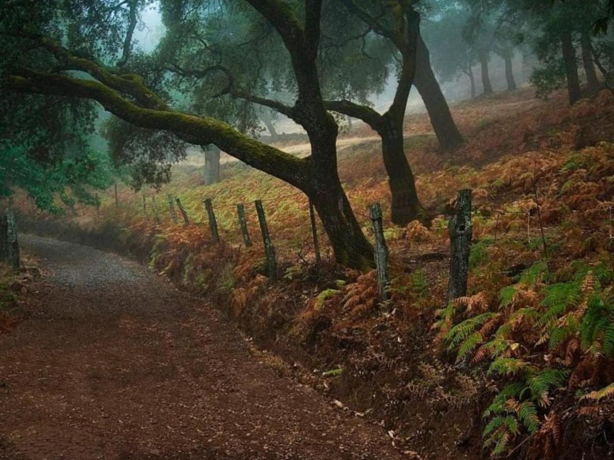 חבוגו Finca Charco La Olla מראה חיצוני תמונה