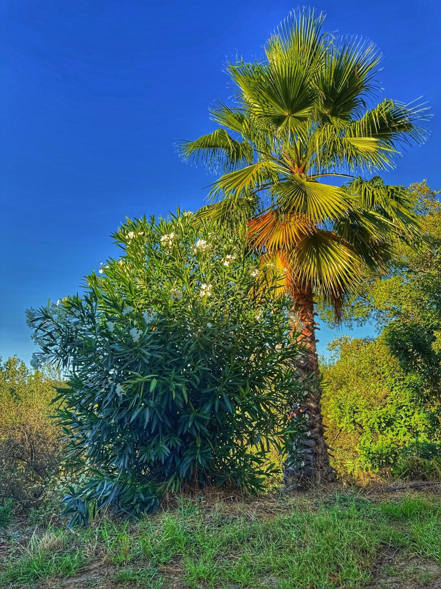 חבוגו Finca Charco La Olla מראה חיצוני תמונה