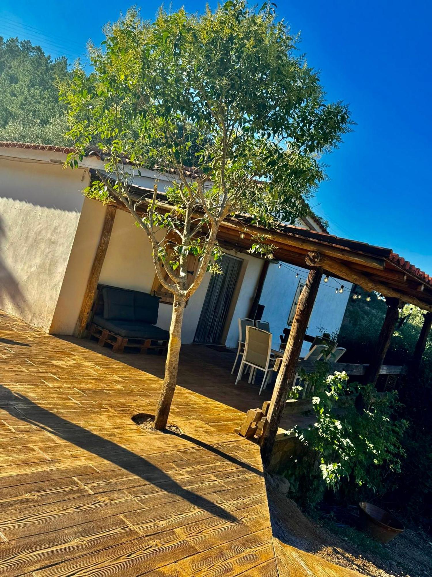חבוגו Finca Charco La Olla מראה חיצוני תמונה