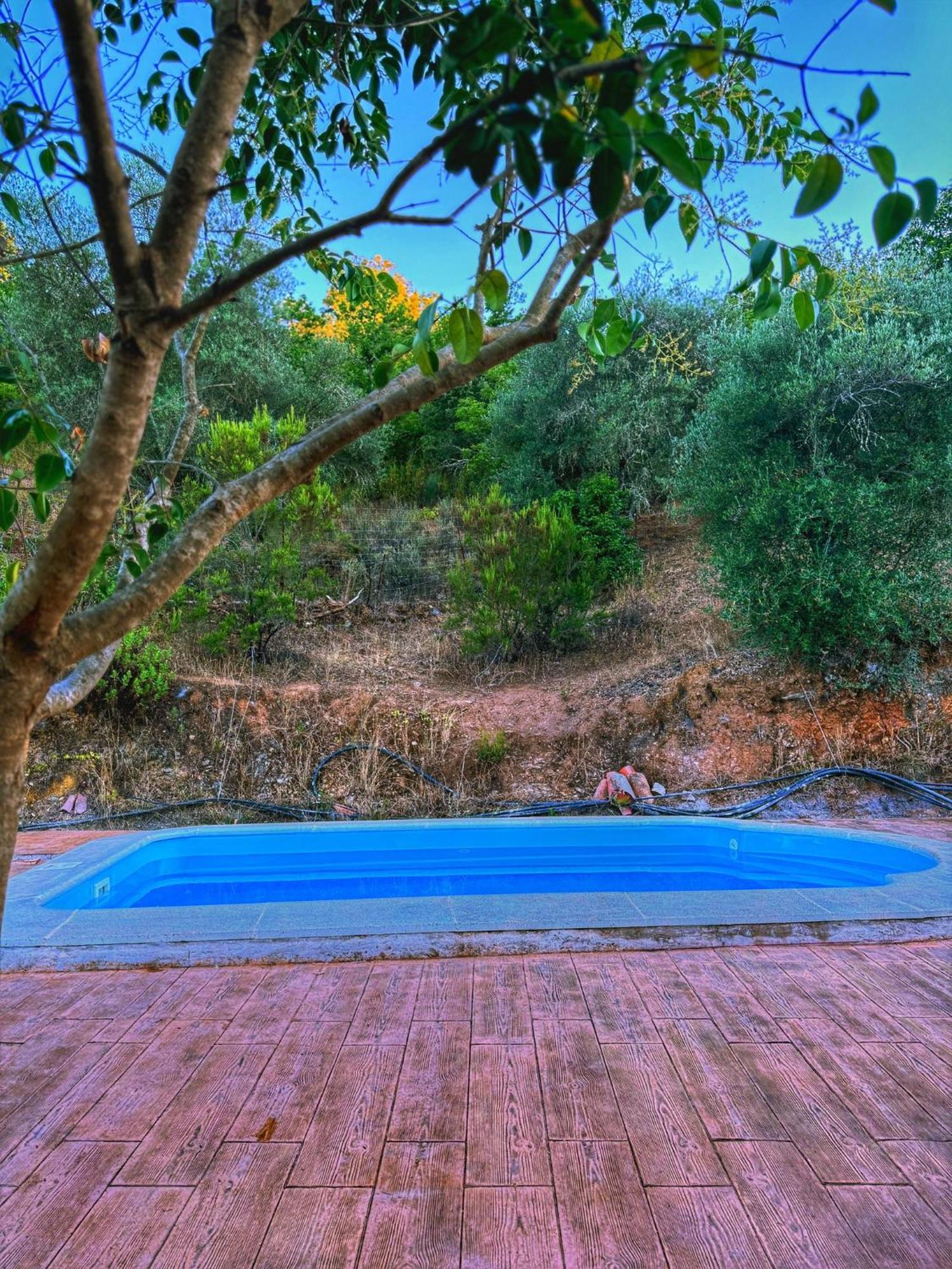 חבוגו Finca Charco La Olla מראה חיצוני תמונה